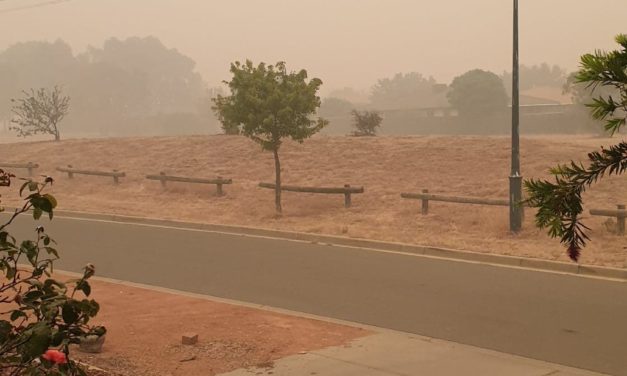 Australia Fires: Kathy and Barry Day in Canberra. Jan 6, 2020